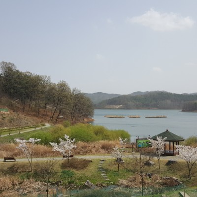 대전옥천대청호여행