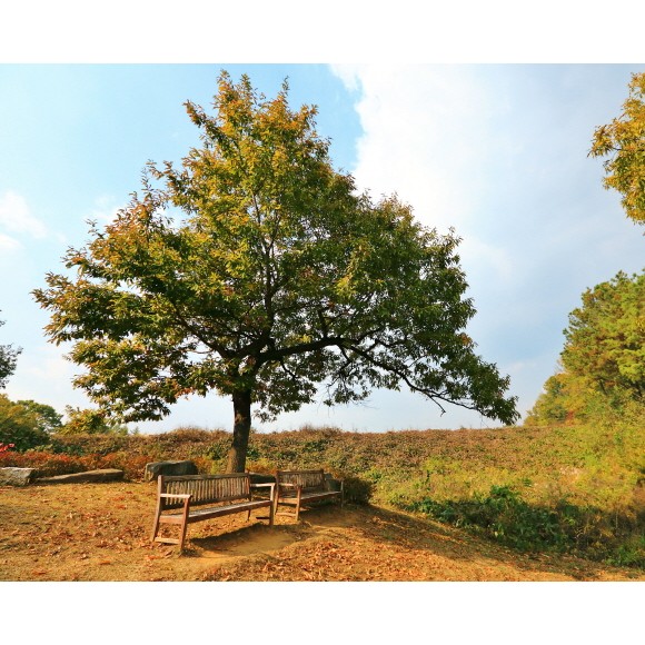 가을여행은 대청호 오백리길로