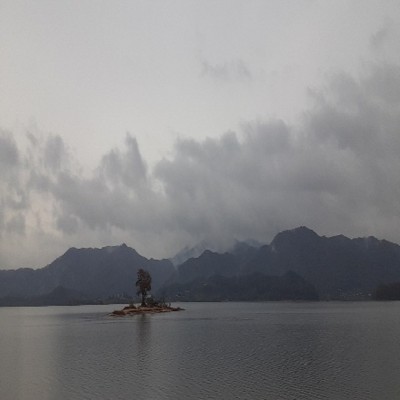 치유공간마음의숲사회적협동조합 개인상담