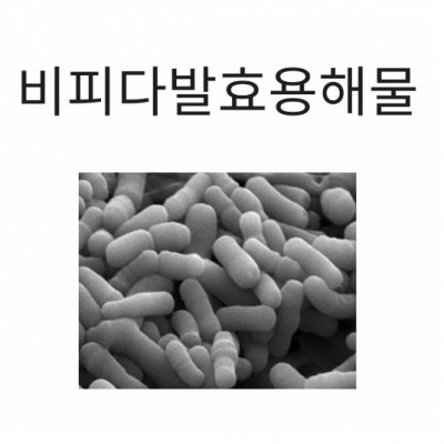 비피다발효용해물