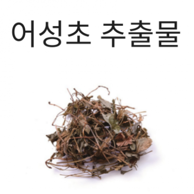 어성초추출물
